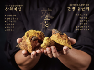 Read more about the article 강황솥밥과 코다리찜의 건강한 점심