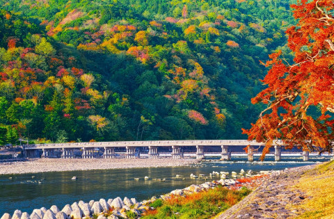 Read more about the article 모두투어, 단풍여행이 여가를 바꾸다