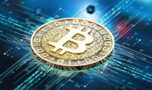 Read more about the article [업체명], 암호화폐 백만장자 급증의 의미
